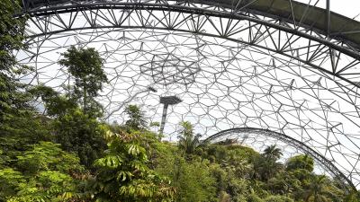 Rainforest Biome